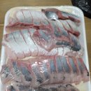 바다를 품은 보성회센타 이미지