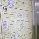 주상가성원약국 | 강아지 눈물 티어가드 구입, 효과는? (창원 새가야약국)
