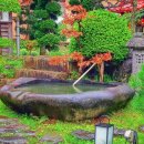 숲속 정원 이미지