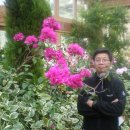 축령산아침 이미지