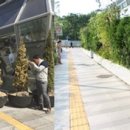 수목 스크린 이미지