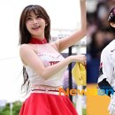 박수종 뉴스엔