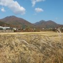 먹뱅이골 | 중원리~도일동릉~도일봉