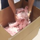 마루네 고양이미용실 | 20230905 툰페스티벌 팝업스토어 후기/냐한남자 춘배&amp;마루는 강쥐