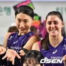 핑크 스파이더 이미지