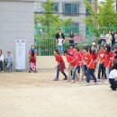 한뫼초등학교 이미지