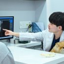 정담동물메디컬센터 네이버블로그