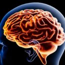 밤새 헬스장 이미지