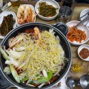 설악칡냉면 티스토리