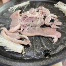 동천농원
