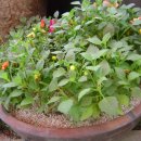 아름다운유치원 이미지