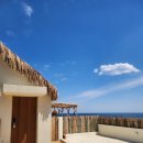 스테이다온 이미지