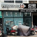 터미널 앞 | 람빵 버스터미널 바로 앞 터미널호스텔 약간의 비추 후기