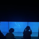 현대자동차해체재활용산업 | [부산] 아이와함께 체험형전시 현대 모터스튜디오 방문후기 ‘Plastic: Remaking Our World’