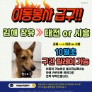 하이/10월초/김해 장유＞＞대전or시청 이미지