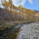가을빛으로 물든 석포면, 7대 힐링 관광지 공개…걷고 쉬고 머무는 ‘가을 여행지’ 주목 이미지