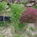 인동농장 이미지