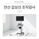 고잔방사선과의원 이미지