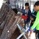 에코팜농장 이미지