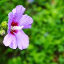 송현공원 이미지