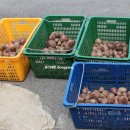 동양건강원 이미지