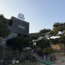 사랑이 있는 어린이 동산 | 🇰🇷 아이들의 공감 능력 듬뿍 ‘고양이 동산’｜입장료·메뉴·위치·후기 총정리