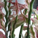 살구미농장 이미지