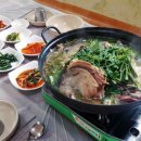 둥지식당 이미지