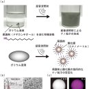 선진프로세스 네이버블로그