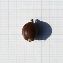 (주)나무연구소 이미지