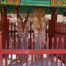 유림-1023 이미지