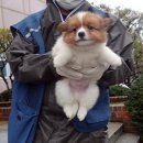 논산시 동물보호센터 이미지