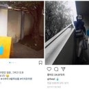 장천한우 이미지