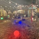 달빛고기 이미지