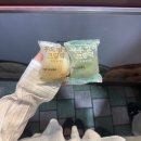 아쿠아플러스(주) 진접점 | 제주 서쪽 여행 숙소 신라스테이 플러스 이호테우 수영장, 조식 후기