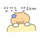 네모스테이 이미지