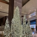 2015 12월(11월) 오픈하우스 | [내돈내산]제주 그랜드 하얏트 디너 뷔페 후기 / 메뉴 및 가격 소인 무료 나이(만 5세까지)