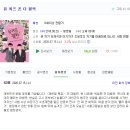 마임삼척소망지사 | 유 퀴즈 온 더 블록 63회 대한민국 헌법 공포를 기념합시다.
