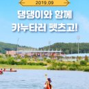 주식회사 펫츠고트래블 이미지