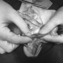 배산동물병원 이미지