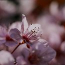 S무인호텔 이미지