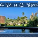 실론제주 이미지