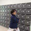 경희대 활기찬 태권도장 이미지