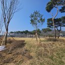 내포 홍예공원 이미지