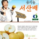 벧엘농원 Daum카페