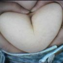 레몬트리짐 이미지