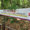 서광사 등산로 이미지