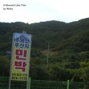 주왕산주산지민박 이미지