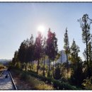 (주)다인레저산업개발 이미지