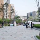 루브르치과 네이버블로그